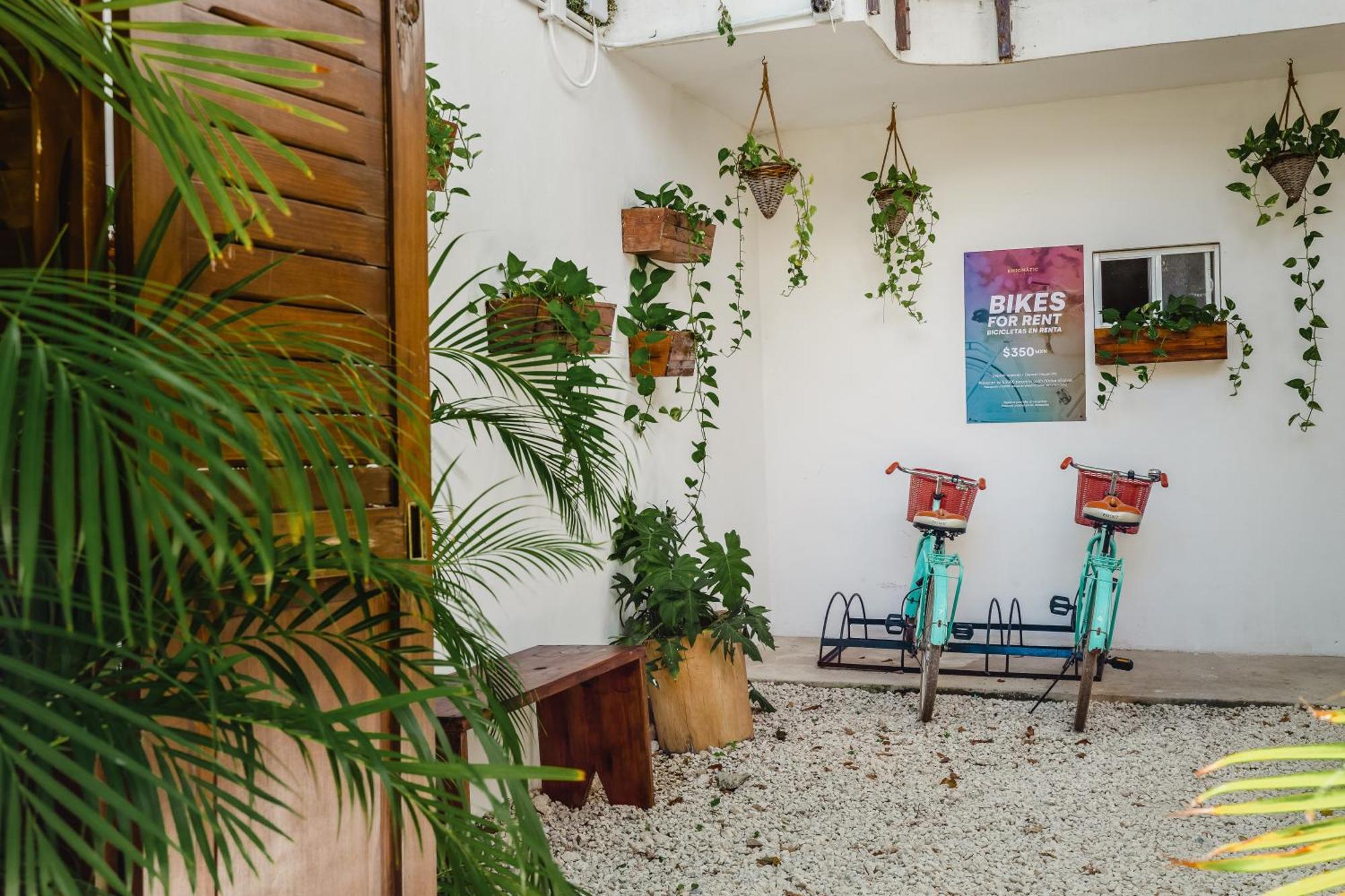 Enigmatic Hotel Experience Cancún Eksteriør bilde