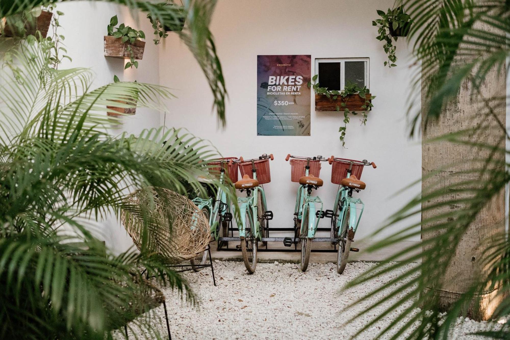 Enigmatic Hotel Experience Cancún Eksteriør bilde